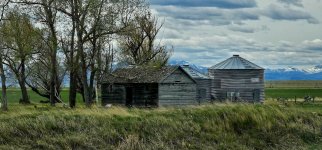 20240515_132825_copy_1600x747.jpg 20240515_132825_copy_1600x747.jpg