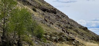 20240515_125147_copy_1600x747.jpg 20240515_125147_copy_1600x747.jpg