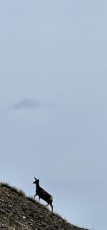 20240515_125228_copy_349x747.jpg 20240515_125228_copy_349x747.jpg