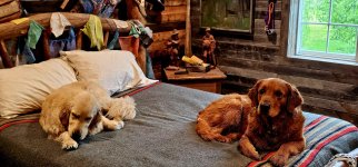 20240529_091320_copy_1600x747.jpg 20240529_091320_copy_1600x747.jpg