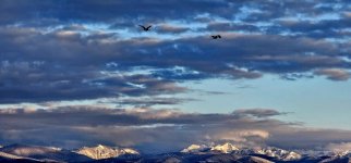 20240523_203417_copy_1600x747.jpg 20240523_203417_copy_1600x747.jpg