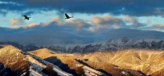 Screenshot_20240523_203501_Gallery_copy_1600x747.jpg Screenshot_20240523_203501_Gallery_copy_1600x747.jpg