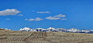 20240531_170430_copy_1600x747.jpg 20240531_170430_copy_1600x747.jpg