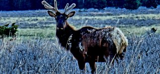 Screenshot_20240601_064737_Gallery_copy_1600x747.jpg Screenshot_20240601_064737_Gallery_copy_1600x747.jpg