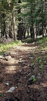 20240601_102154_copy_349x747.jpg 20240601_102154_copy_349x747.jpg