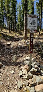 20240601_113653_copy_349x747.jpg 20240601_113653_copy_349x747.jpg