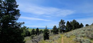 20240601_115534_copy_1600x747.jpg 20240601_115534_copy_1600x747.jpg