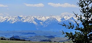 20240601_115546_copy_1600x747.jpg 20240601_115546_copy_1600x747.jpg