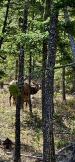 20240601_102941_copy_349x747.jpg 20240601_102941_copy_349x747.jpg