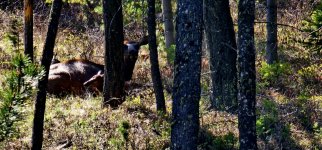 20240601_103031_copy_1600x747.jpg 20240601_103031_copy_1600x747.jpg