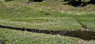 20240601_100227_copy_1600x747.jpg 20240601_100227_copy_1600x747.jpg