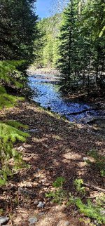 20240601_110348_copy_349x747.jpg 20240601_110348_copy_349x747.jpg