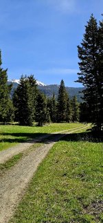 20240601_103956_copy_349x747.jpg 20240601_103956_copy_349x747.jpg