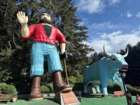 AP1GczNmKVSRehOZtIcjvtOqlnCkelb0.jpg AP1GczNmKVSRehOZtIcjvtOqlnCkelb0.jpg