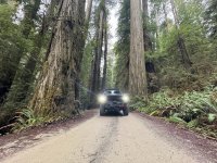 AP1GczM_UFdqf3SJAtG9yziR88T1tGOQ.jpg AP1GczM_UFdqf3SJAtG9yziR88T1tGOQ.jpg