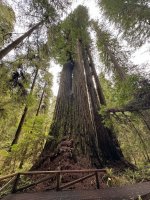 AP1GczNtriB2TRbSUWerPIgLr9zfELLy.jpg AP1GczNtriB2TRbSUWerPIgLr9zfELLy.jpg