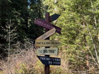 AP1GczMnwfC59Pmx8coKyQw3umfv7-xY.jpg AP1GczMnwfC59Pmx8coKyQw3umfv7-xY.jpg