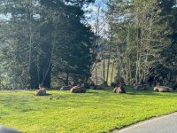 AP1GczM8KYv8zX2sQotlQp3cQyUqlr-p.jpg AP1GczM8KYv8zX2sQotlQp3cQyUqlr-p.jpg