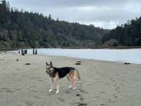 AP1GczNfvpeCTlYnGUpWhxRgF00G7vte.jpg AP1GczNfvpeCTlYnGUpWhxRgF00G7vte.jpg