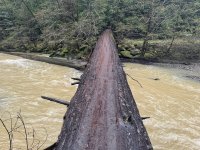 AP1GczMnxddJ5rszh08ak1GN3YmEJjq3.jpg AP1GczMnxddJ5rszh08ak1GN3YmEJjq3.jpg