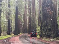 AP1GczN3HuG71880mev5P_PLRBk7hROv.jpg AP1GczN3HuG71880mev5P_PLRBk7hROv.jpg