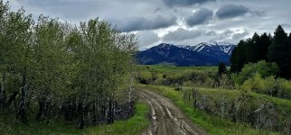 20240602_093820_copy_1200x560.jpg 20240602_093820_copy_1200x560.jpg