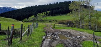 20240602_094031_copy_1200x560.jpg 20240602_094031_copy_1200x560.jpg