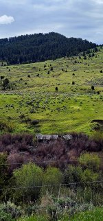 20240602_100113_copy_1200x2570.jpg 20240602_100113_copy_1200x2570.jpg