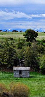 20240602_101329_copy_1200x2570.jpg 20240602_101329_copy_1200x2570.jpg