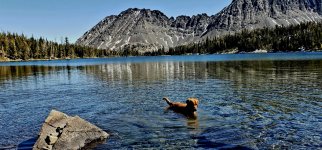 Screenshot_20240603_173456_Gallery_copy_1200x560.jpg Screenshot_20240603_173456_Gallery_copy_1200x560.jpg