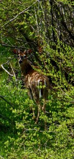 20240602_095403_copy_1200x2570.jpg 20240602_095403_copy_1200x2570.jpg