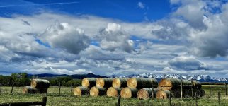 20240602_102007_copy_1200x560.jpg 20240602_102007_copy_1200x560.jpg