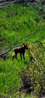 20240602_095730_copy_1200x2570.jpg 20240602_095730_copy_1200x2570.jpg