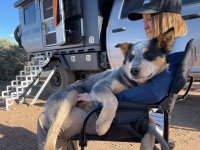 Juno hates people.jpg Juno hates people.jpg