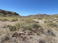 Abandoned Mine Litter.jpg