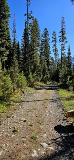 20240608_084048_copy_1200x2570.jpg 20240608_084048_copy_1200x2570.jpg