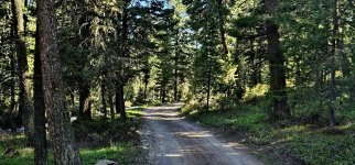 20240608_173404_copy_1200x560.jpg 20240608_173404_copy_1200x560.jpg