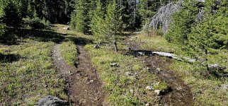 20240608_092436_copy_1200x560.jpg 20240608_092436_copy_1200x560.jpg