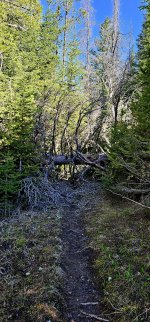 20240608_092520_copy_1200x2570.jpg 20240608_092520_copy_1200x2570.jpg