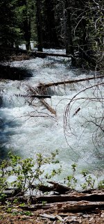 20240608_145815_copy_1200x2570.jpg 20240608_145815_copy_1200x2570.jpg