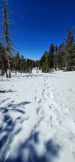 20240608_111621_copy_1200x2570.jpg 20240608_111621_copy_1200x2570.jpg