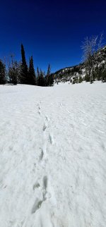 20240608_112655_copy_1200x2570.jpg 20240608_112655_copy_1200x2570.jpg