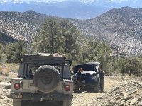 IMG_0747.jpeg IMG_0747.jpeg