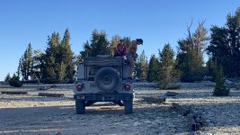 IMG_0777.jpeg IMG_0777.jpeg