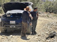 IMG_0749.jpeg IMG_0749.jpeg