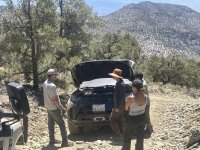 IMG_0739.jpeg IMG_0739.jpeg