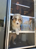 Eli Door.jpg Eli Door.jpg