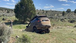 IMG_9879.jpeg IMG_9879.jpeg