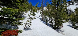 20240608_120643_copy_1200x560.jpg 20240608_120643_copy_1200x560.jpg