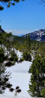 20240608_114233_copy_1200x2570.jpg 20240608_114233_copy_1200x2570.jpg